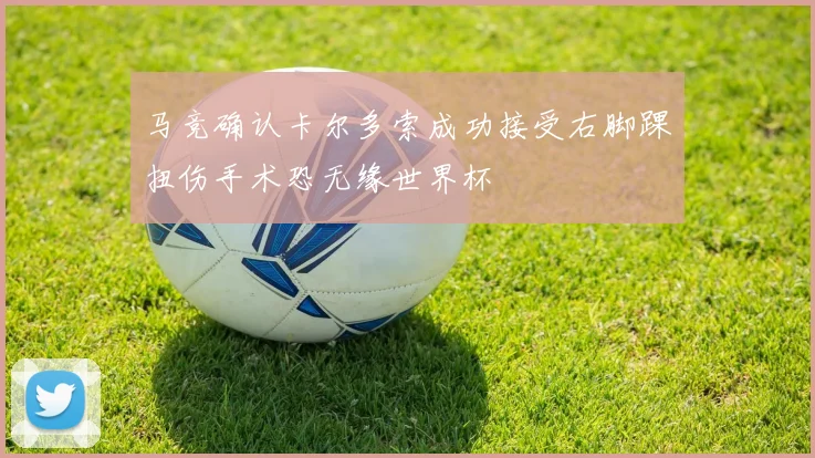 马竞确认卡尔多索成功接受右脚踝扭伤手术恐无缘世界杯