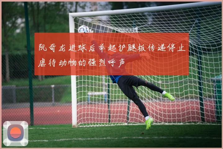 阮奇龙进球后举起护腿板传递停止虐待动物的强烈呼声